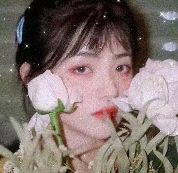 巴哥正传